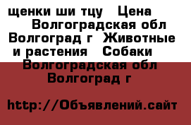 щенки ши тцу › Цена ­ 5 000 - Волгоградская обл., Волгоград г. Животные и растения » Собаки   . Волгоградская обл.,Волгоград г.